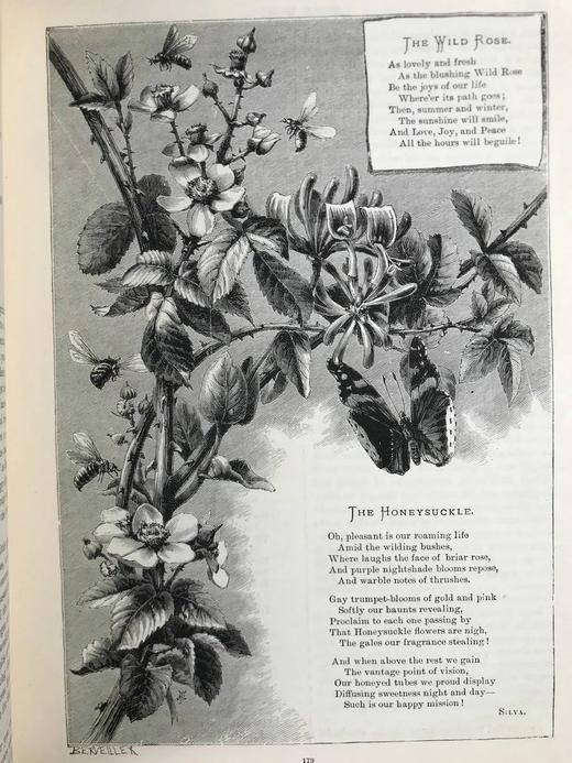 1893年 家庭箴言杂志 约百幅插图 漆布精装16开 商品图7