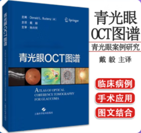 青光眼OCT图谱 戴毅主译
