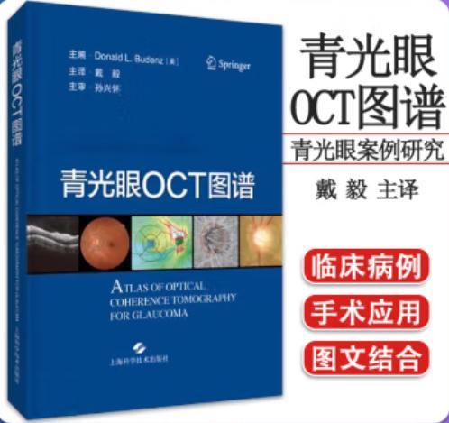 青光眼OCT图谱 戴毅主译 商品图0