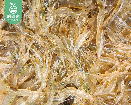 漳浦活冻小河虾/1份（约250g） 商品图2