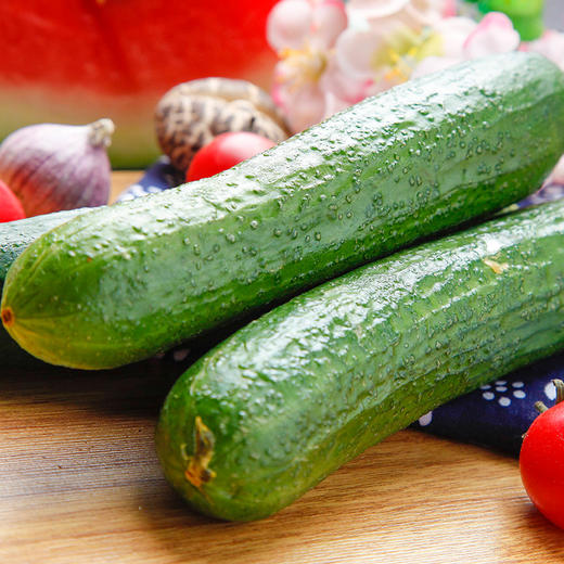 【水果黄瓜】山东水果黄瓜   脆嫩清甜 商品图1