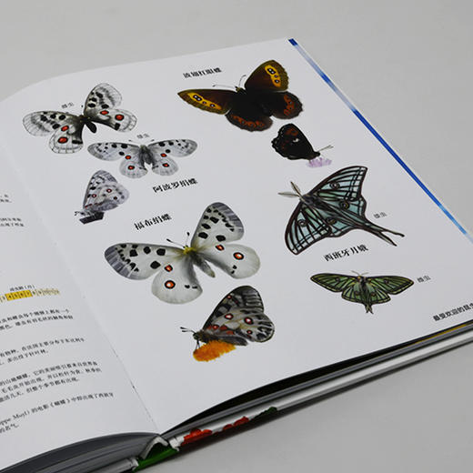 我的第一堂自然课：奇妙的探索之旅 商品图5