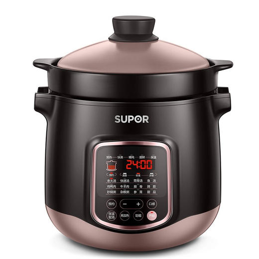 苏泊尔电炖锅DG60YC13 商品图0