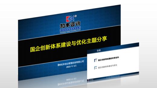 资料｜国企创新体系建设与优化 商品图0