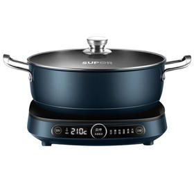 苏泊尔电磁炉C21-ICD32