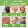【社群】新客LX-伊能启元胶囊90粒 商品缩略图4