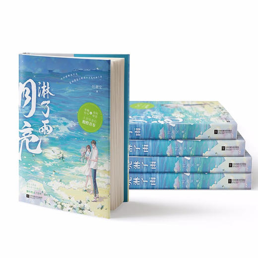 月亮淋了雨 商品图3