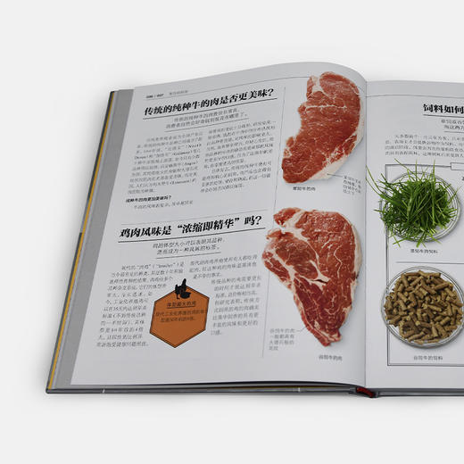 烹饪的科学   [英] 斯图尔特  法里蒙德 商品图4