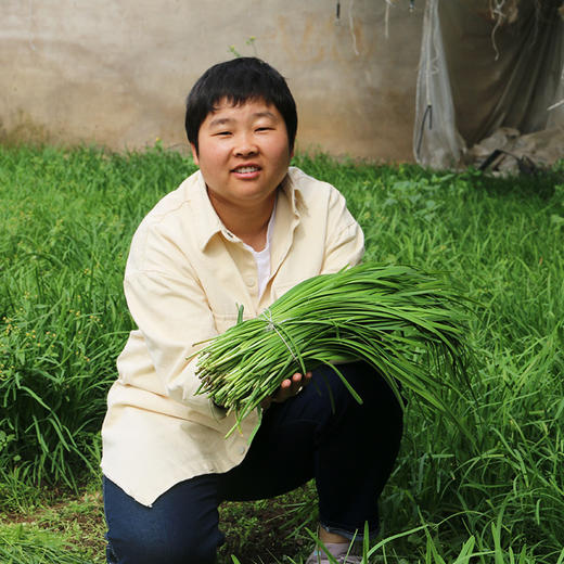 每日现割  农家韭菜 鲜嫩  色泽深绿  香味浓郁  做馅佳品  350g 商品图3