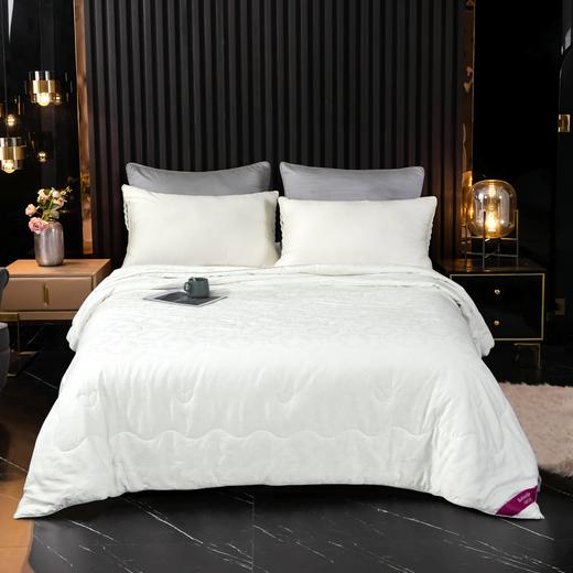 江南蚕丝四季被 商品图0