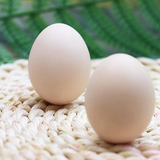 农家谷物蛋30枚（1.25kg） 商品图3