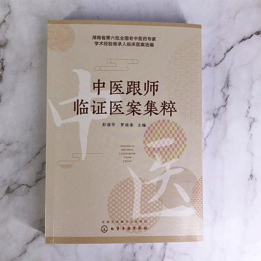 中医跟师临证医案集粹 商品图1