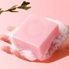 【爆款超低价预售 急单慎拍】淮南王内衣皂洗内衣裤专用除菌皂清洗血渍肥皂香皂男女士通用 商品缩略图0