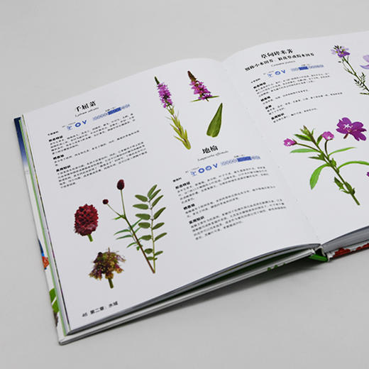 我的第一堂自然课：奇妙的探索之旅 商品图3