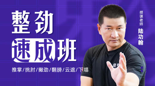 第7课 翻膀技术讲解 商品图0