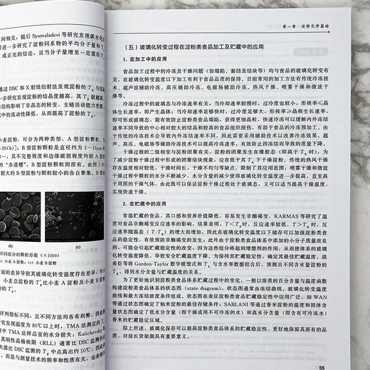 淀粉非化学改性技术（第2版） 商品图7