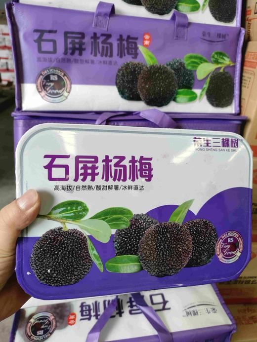 东魁杨梅一件60元 商品图0