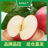 PAGODA百果园 东方红苹果9粒礼盒装（单果重约250g，净重4.5斤） 商品缩略图2