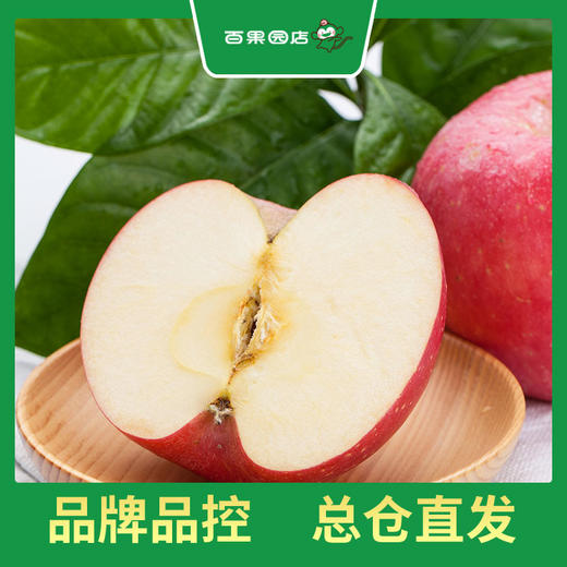 PAGODA百果园 东方红苹果9粒礼盒装（单果重约250g，净重4.5斤） 商品图2