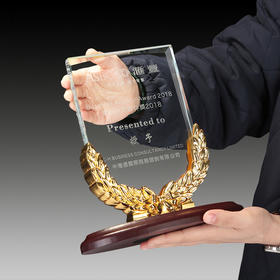 麦穗水晶奖牌授权牌年商会奖杯定制作创意刻字纪念合作经销商定做