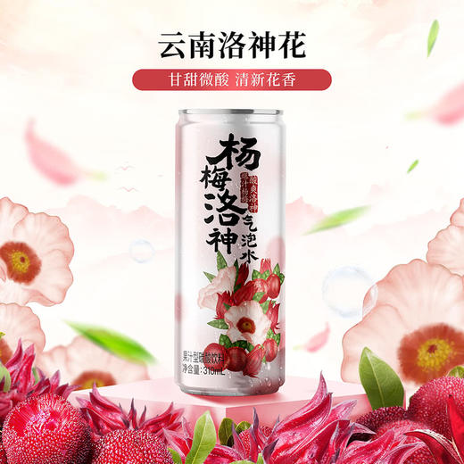 MM 山姆 DRINKSBA杨梅洛神气泡水 310ml*20 商品图2