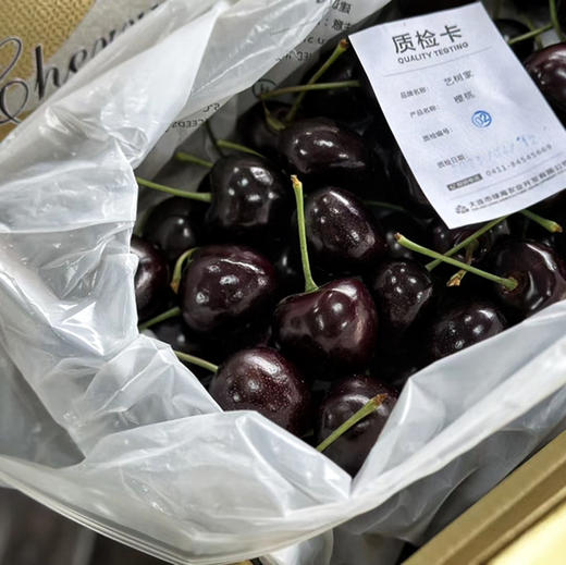 【艺树家】艺树家，俄8黑珍珠樱桃，国内最佳樱桃品种，口感甜浓不单调有回味，有幸福感！ 商品图0