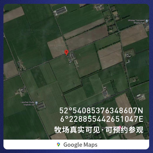 风车牧场 4.5g高钙 草饲娟姗特优纯牛奶 全脂荷兰原装进口 商品图3