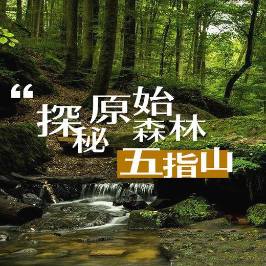 【2023海南五指山夏令营】国家公园自然探索系列—海南热带雨林国家公园 商品图0