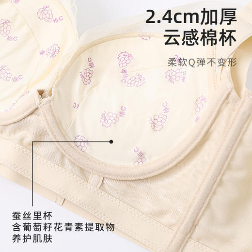 熳洁儿  商场同款小胸聚拢内衣中厚杯自然上托收副乳防下垂文胸23201303 商品图4
