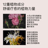 羽心堂 茶树洋甘菊呵护洗液240ml（送洗液30ml+按压泵）[福利品] 商品缩略图2