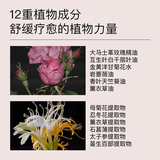 羽心堂 茶树洋甘菊呵护洗液240ml（送洗液30ml+按压泵）[福利品] 商品图2