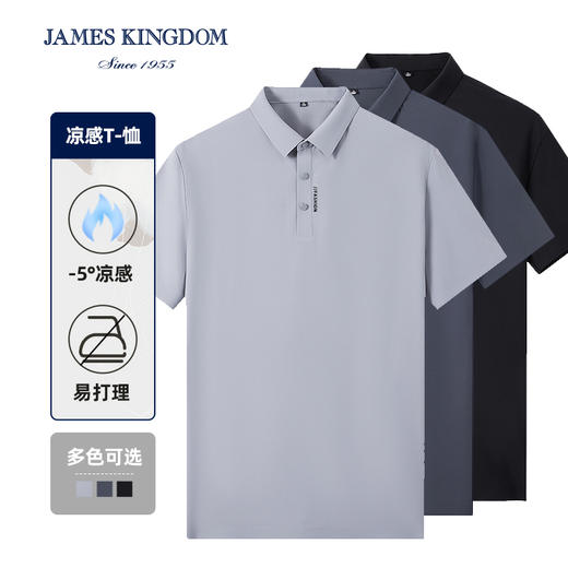 占姆士男士夏季商务短袖纯色冰凉丝翻领抗菌新无痕热压新工艺男装休闲POLO衫 商品图0