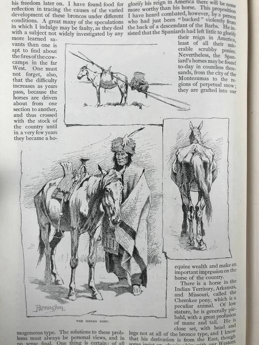 1888年11月-1889年4月 世纪杂志 数百幅插图 漆布精装16开 商品图9
