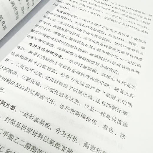 信息通信业的数字化发展之路 中国信息通信行业发展历程及技术演变 商品图2