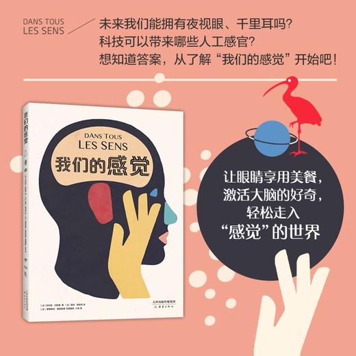 我们的感觉 商品图4