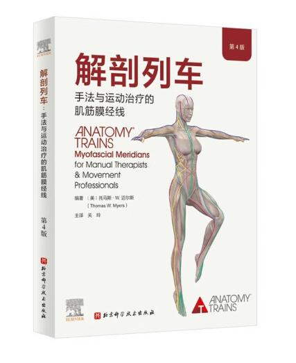 解剖列车：手法与运动治疗的肌筋膜经线 商品图0