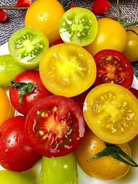 妮小番，彩虹三色小番茄