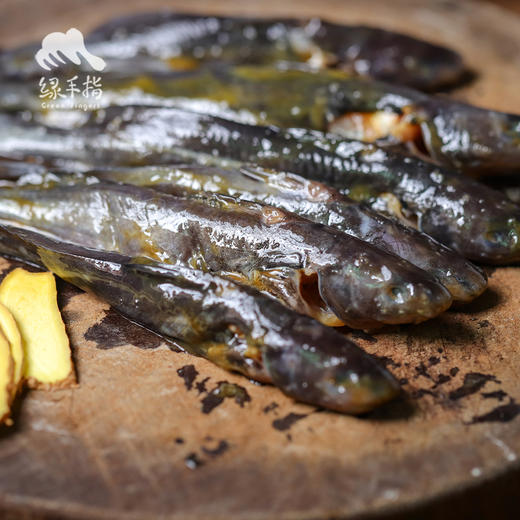 生态牛尾巴鱼（临期折扣） | 合作生产 * Eco- pseudobagrid| Coproduction 商品图5