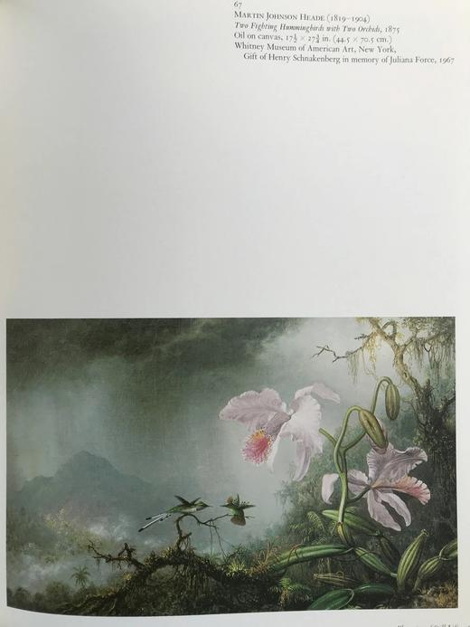 美国绘画杰作 110幅彩色插图 平装16开 商品图12