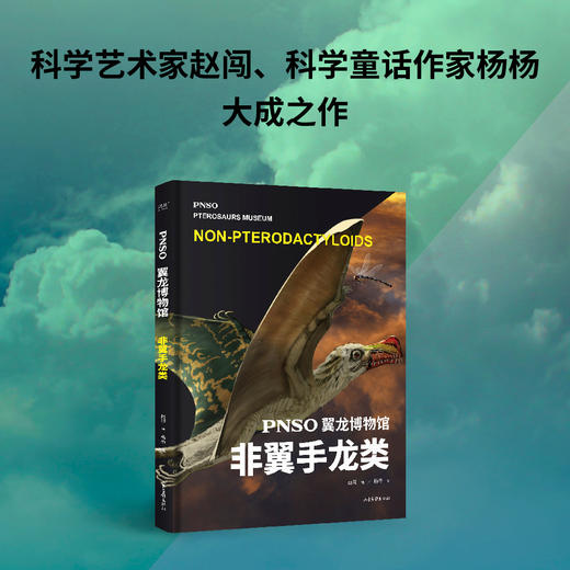 PNSO翼龙博物馆.非翼手龙类 商品图1