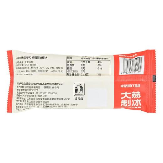 大赫制冰杨梅果味棒冰75g/支 商品图1