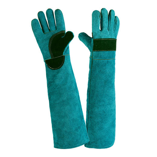 宠物防撕咬牛皮手套训练动物宠物喂食防咬伤加厚长款防护手套 商品图4