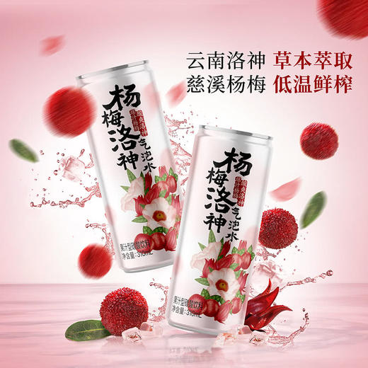 MM 山姆 DRINKSBA杨梅洛神气泡水 310ml*20 商品图1