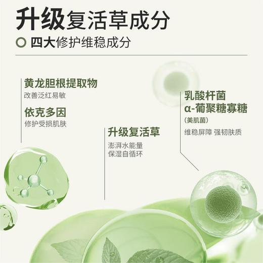 【双十一超值到手价】【全球购&买一送一买就送护手霜】BbLAB苾莱宝新一代复活草面膜涂抹式补水正装175g·现货开抢 商品图5