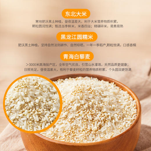 严选 | 美拾派虾仁干贝海鲜粥450g/袋*3袋 优质谷物 鲜料满满 软糯绵香 商品图2