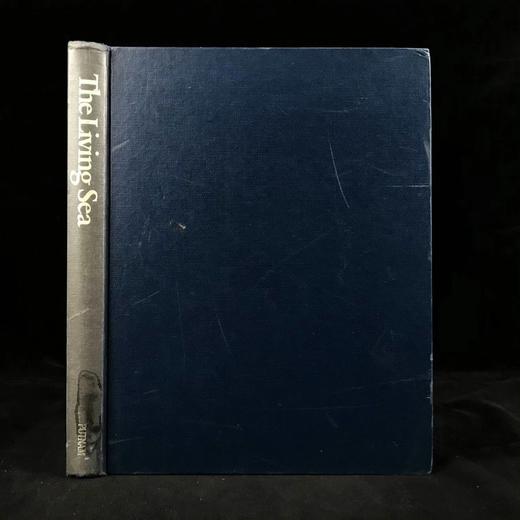 海洋生命图解指南 数百幅彩色插图 精装大16开 商品图0