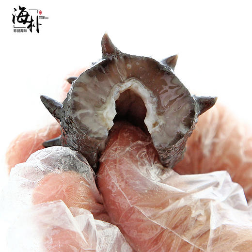 海朴 臻鸾干海参50克 大连底播海参干货礼盒 商品图4