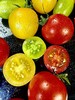 妮小番，彩虹三色小番茄 商品缩略图2