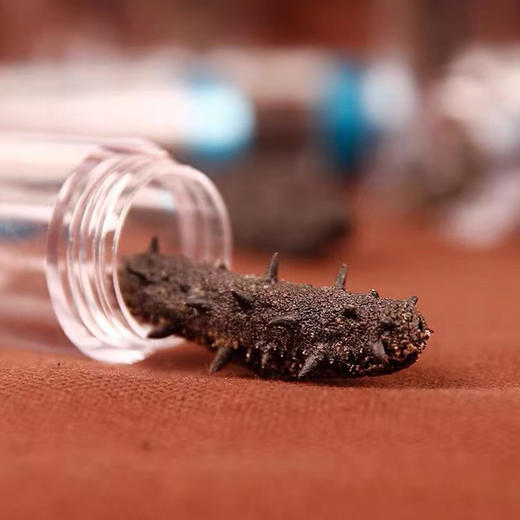 海朴 臻鸾干海参50克 大连底播海参干货礼盒 商品图1