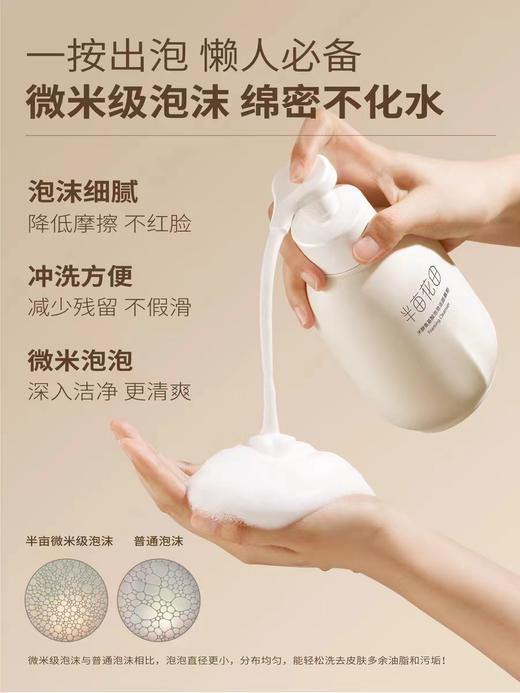 半亩花田米酵氨基酸泡泡洁面慕斯500g（新老随机发无外盒） 商品图1